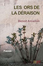 Télécharger le livre :  Les Ors de la Déraison