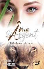Télécharger le livre :  Âme d'argent
