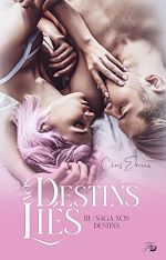 Télécharger le livre :  Nos destins liés tome 3