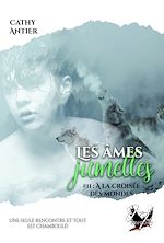 Télécharger le livre :  Les Âmes-Jumelles #2