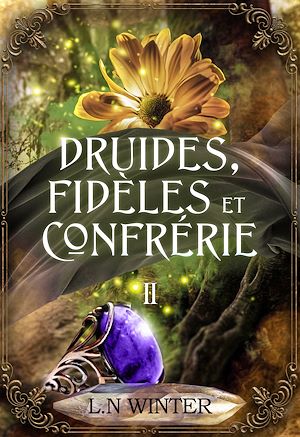 Téléchargez le livre :  Le secret des druides