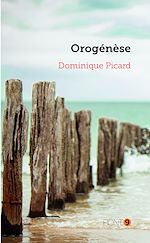 Télécharger le livre :  Orogénèse