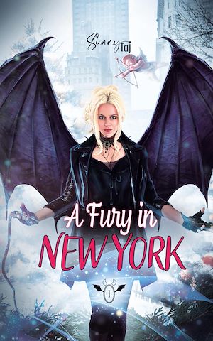 Téléchargez le livre :  A Fury in NYC: Screw Christmas!