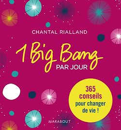 Télécharger le livre :  1 big bang par jour