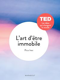 Téléchargez le livre :  L'art d'être immobile