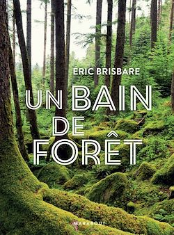 Télécharger le livre :  Un bain de forêt - Edition illustrée