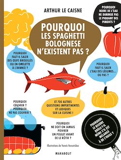 Télécharger le livre :  Pourquoi les spaghetti bolognese n'existent pas