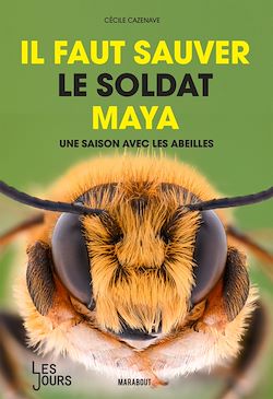 Télécharger le livre :  Il faut sauver le soldat Maya