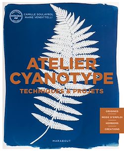 Télécharger le livre :  Cyanotype