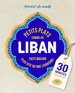 Télécharger le livre :  Petits plats comme au Liban