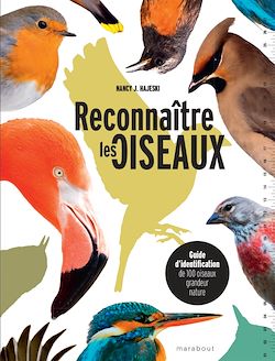 Télécharger le livre :  Reconnaître les oiseaux