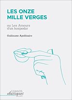 Télécharger le livre :  Les Onze Mille Verges