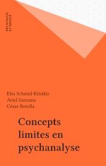 Télécharger le livre :  Concepts limites en psychanalyse