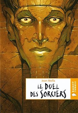 Télécharger le livre :  Le duel des sorciers