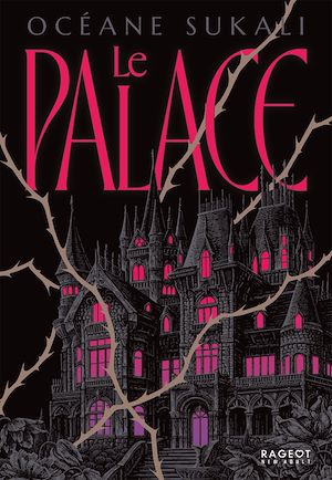 Téléchargez le livre :  Le Palace