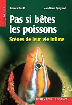 Télécharger le livre :  Pas si bêtes les poissons : Scènes de leur vie intime