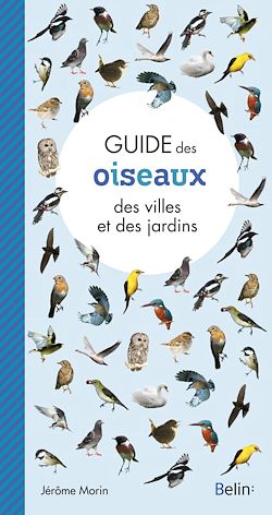 Télécharger le livre :  Guide des oiseaux des villes et des jardins
