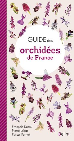 Télécharger le livre :  Guide des orchidées de France