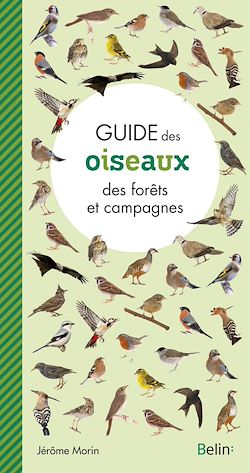 Télécharger le livre :  Guide des oiseaux des forêts et campagnes