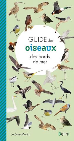 Télécharger le livre :  Guide des oiseaux des bords de mer