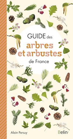 Télécharger le livre :  Guide des Arbres et Arbustes de France