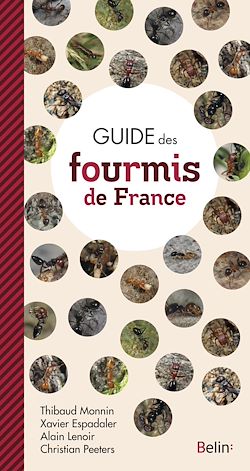 Télécharger le livre :  Guide des Fourmis de France