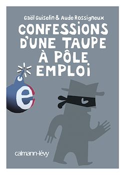 Télécharger le livre :  Confessions d'une taupe à Pôle Emploi
