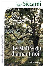 Télécharger le livre :  Le Maître du diamant noir