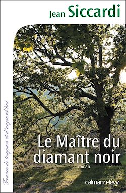 Télécharger le livre :  Le Maître du diamant noir