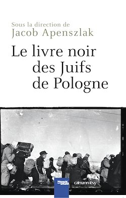 Télécharger le livre :  Le Livre noir des Juifs de Pologne
