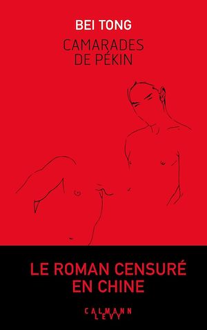 Téléchargez le livre :  Camarades de Pekin