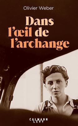 Télécharger le livre :  Dans l'oeil de l'archange