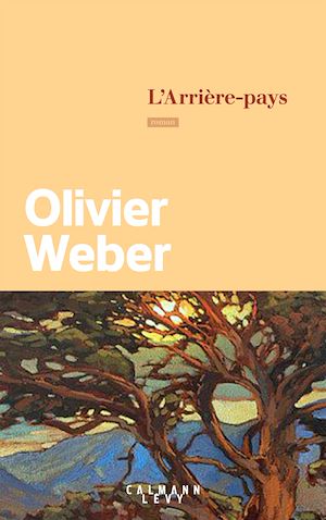 L'arrière-pays | Weber, Olivier (1958-....). Auteur