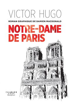 Télécharger le livre :  Notre-Dame de Paris - Un roman graphique de Damien MacDonald