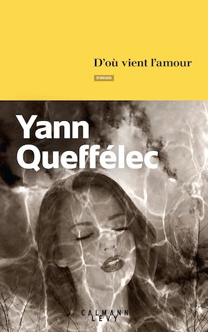 D'où vient l'amour | Queffélec, Yann (1949-....). Auteur