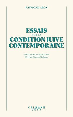 Télécharger le livre :  Essai sur la condition juive contemporaine