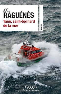 Télécharger le livre :  Yann, saint-bernard de la mer