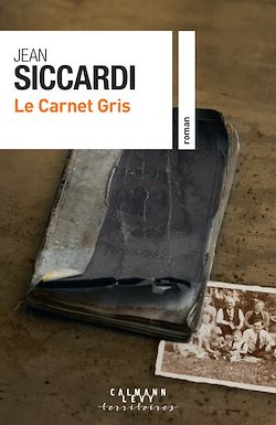 Télécharger le livre :  Le Carnet gris