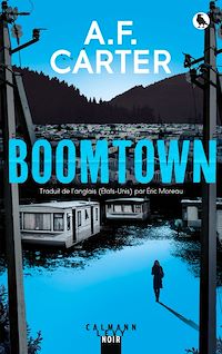 Téléchargez le livre :  Boomtown