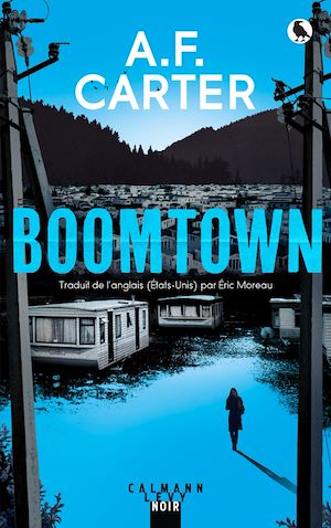 Download the eBook: Boomtown