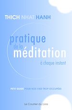 Download this eBook Pratique de la méditation à chaque instant - Petit guide pour nos vies trop occupées