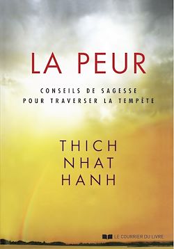 Télécharger le livre :  La peur : Conseils de sagesse pour traverser la tempête