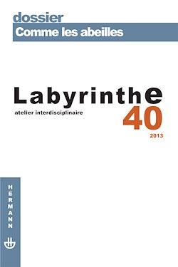 Télécharger le livre :  Labyrinthe 40