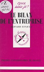 Download this eBook Le bilan de l'entreprise