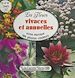 Télécharger le livre :  Les fleurs (3) : vivaces et annuelles