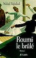 Télécharger le livre :  Roumi, le brûlé
