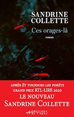 Télécharger le livre :  Ces Orages-là