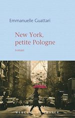 Télécharger le livre :  New York, petite Pologne