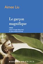 Télécharger le livre :  Le garçon magnifique