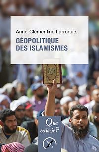 Téléchargez le livre :  Géopolitique des islamismes